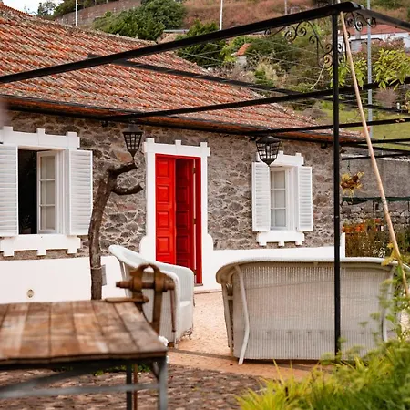 Madeira Loft Ii - Free Car Holiday home *